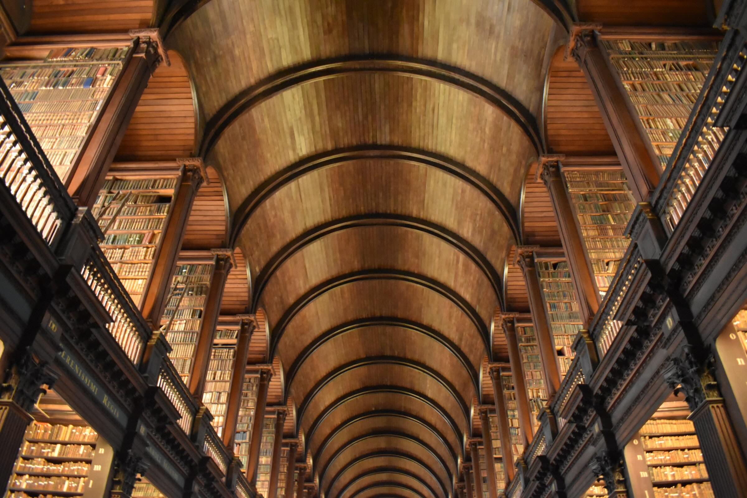 Lightbulbs over a bookshelf in a library